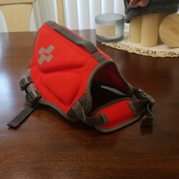 Red Dog Life Preserver - Picture 2 of 11